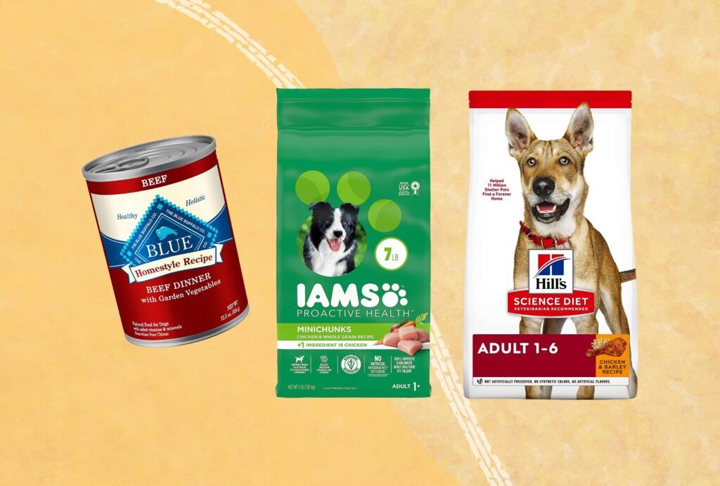 Best Dog Food Under $40: Top 5 Affordable Picks for Your Pet