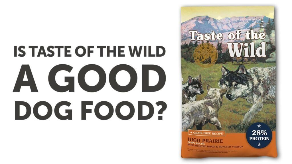 Taste of the Wild Dog Food Review